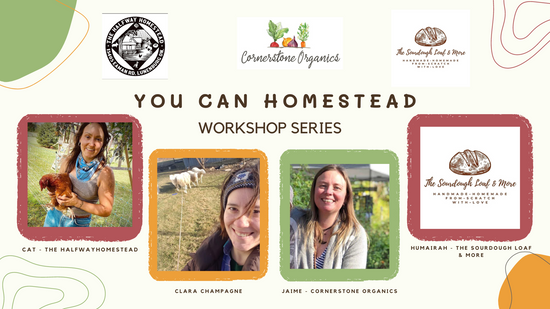 The “You can homestead” workshop series.
