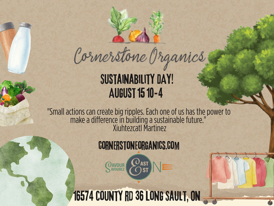 Sustainability Day and Annual Clothing Swap