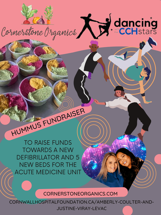 Rainbow Hummus Fundraiser