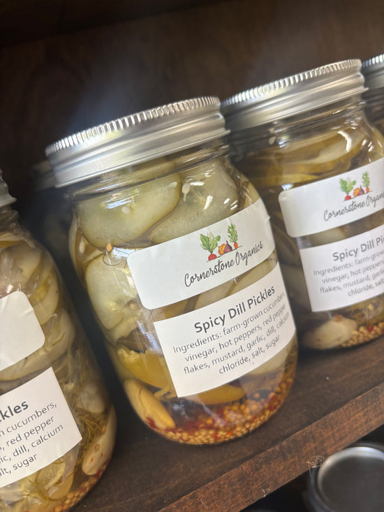 Spicy Dill Pickles