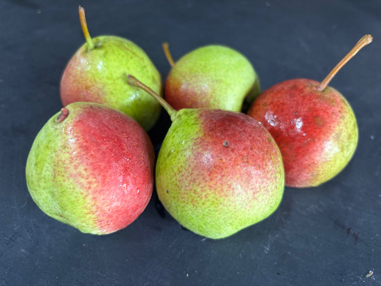 Summer Crisp Pears